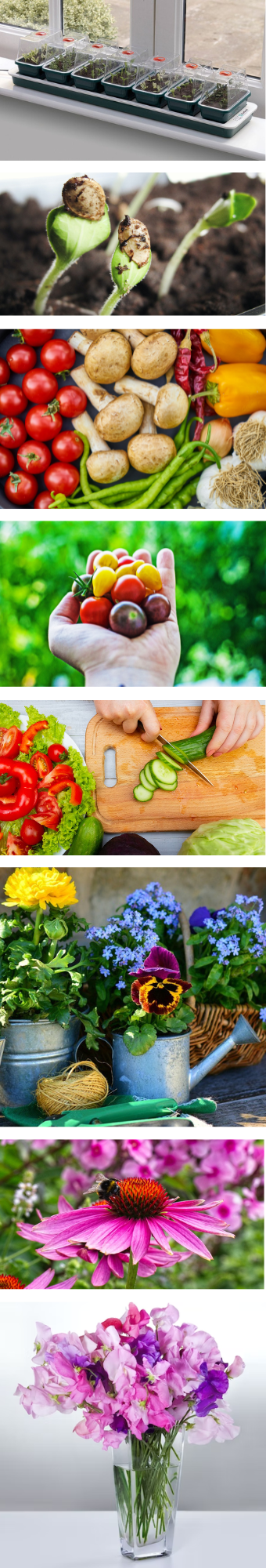 From propagator to plate, and bouquet